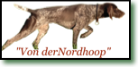 neu logo web