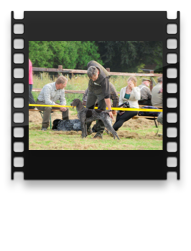 collage image title